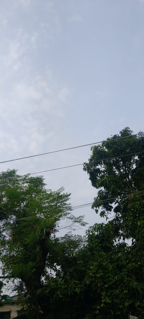 बेलौरीमा वर्षाले धानबालीमा सामान्य असर